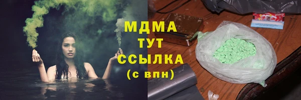 шишки Белокуриха